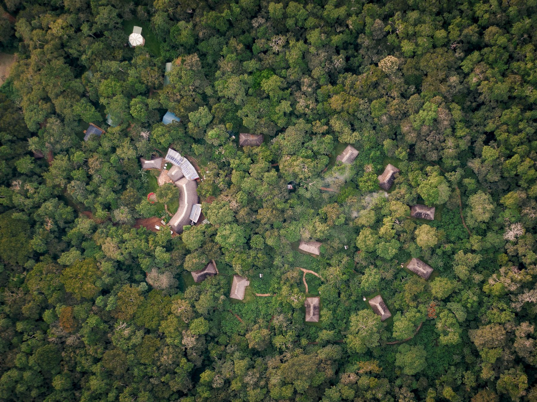 Aerial view over unbroken rainforest canopy in western Uganda